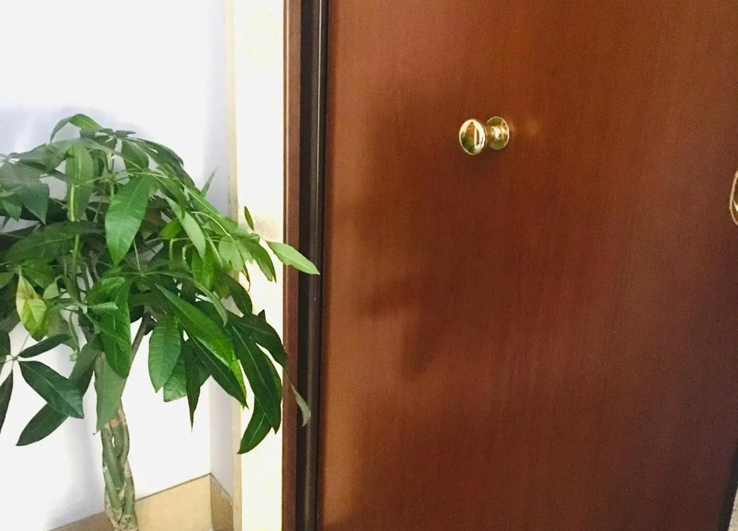 Roma House Alessandrino Apartment